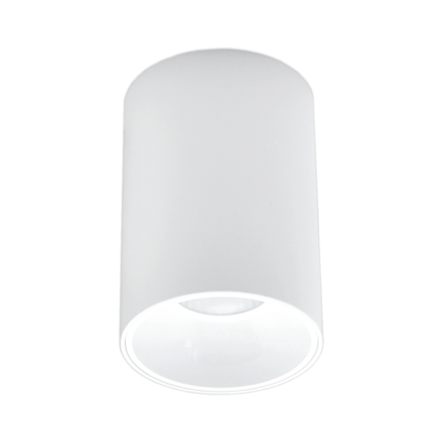 15W baltas akcentinio apšvietimo LED šviestuvas TULSA